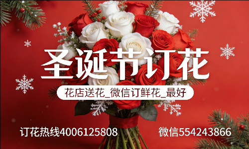 ���ݵ³�������