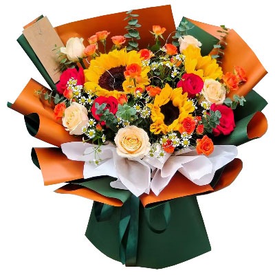 ���ݵ³�������